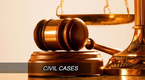 Civil Lawyer